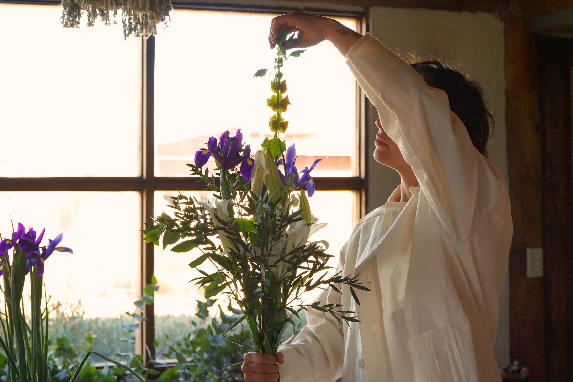 Winifred armando una escena botánica con flores frescas junto a una ventana