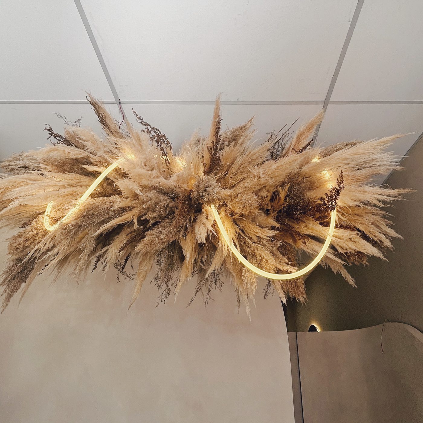 Nube Árida, instalación aérea suspendida de pampa grass y quina
